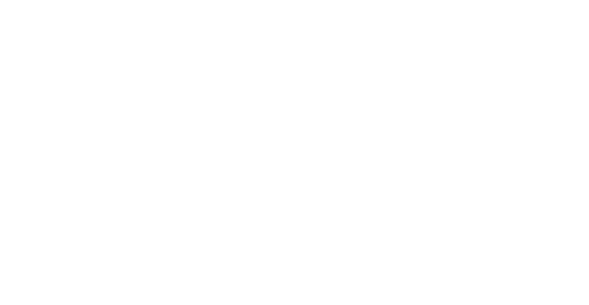 Die Normalspur Drehscheiben von den Schweizerischen Bundesbahnen sind in Spur N 1:160 (9mm). Es gibt fünf verschiedene Varianten mit Holzboden von 5,6m (35mm) bis 19,2m 120mm).  Das Basismodell repräsentiert ein Standarddesign einer Drehscheibe, wie er vor dem Zweiten Weltkrieg in Deutschland und in ganz Europa verwendet wurde. Das Design basiert auf einem Modell mit einem vollständig überdachten Holzdeck. Bei diesem Modell wäre der tatsächliche Durchmesser des Plattentellers 19,2 m. Dies ist 120 mm in der N-Skala. Um eine hohe Authentizität zu erreichen, besteht der Hauptteil des Modells „the table“ (wie in der Realität) aus Holz. Die Schienen sind auf dem Holzdeck montiert und mit kleinen Nägeln befestigt. Die Standardausführung ist mit PECO-Schienen Code 80 ausgeführt, auf Anfrage können jedoch auch andere Hersteller verwendet werden (Fleischmann, Arnold, Minitrix, FiNescale 40 oder 55). Die Plattenspieler-Steuerung bietet für alle Standardfunktionen, die unser Plattenspieler-Antrieb IMM 2.10 -THS bietet. Die Steuerplatine ermöglicht den Anschluss aller erforderlichen Fernbedienungselemente (drei Drucktasten für Bewegung nach links / rechts / Kalibrierung). Die Lieferung beinhaltet: den Drehteller, die Steuerelektronik, Ersatzteile, Handbuch und Zubehör. Die Garantie beträgt zwei Jahre ab Verkaufsdatum.  Alle Drehscheiben haben;                                                       Antrieb;              -   Drehscheibenantrieb IMM 2.10-THS mit Schrittmotor                                                       Hauptschritt;      -   Einstellbar 7.5 - 180 Grad; in 7.5 Schritten                                                       Ausführung;       -   Holzboden, Schiene oben